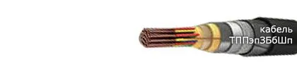 Кабель ТППэпЗБбШп 30х2х0,64-200