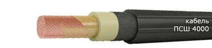 Кабель ПСШ 4000 185