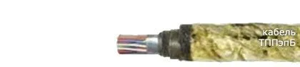 Кабель ТППэпБ 20х2х0,4-200