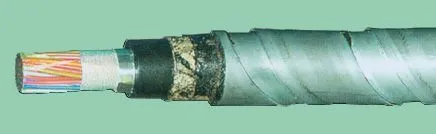 Кабель ТПппПЗБГ 30х2х0,64